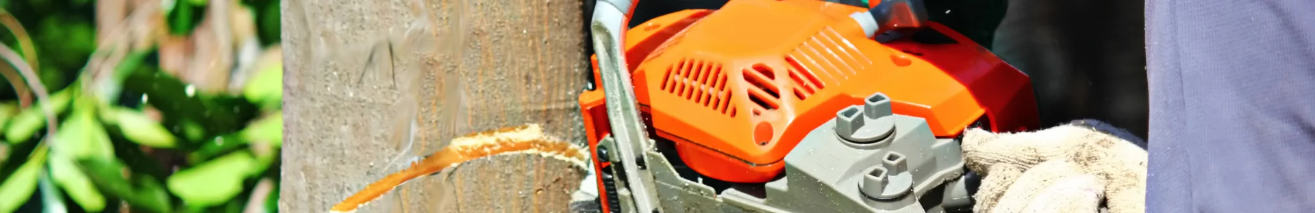 Power Saws image in Djibouti